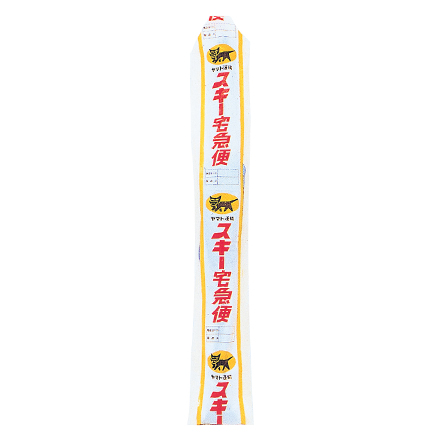 Ski Cover