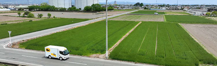 nhà cái tặng tiền miễn phí